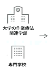 大学の作業療法関連学部・専門学校